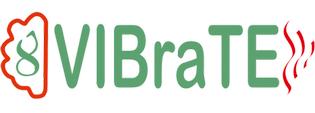 VIBraTE PhD Summer School in Neurotechnology
