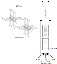 64-channel acute, MOLC
